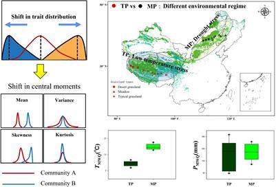 Divergent Abiotic Stressors Drive Grassland Community Assembly of Tibet and Mongolia Plateau